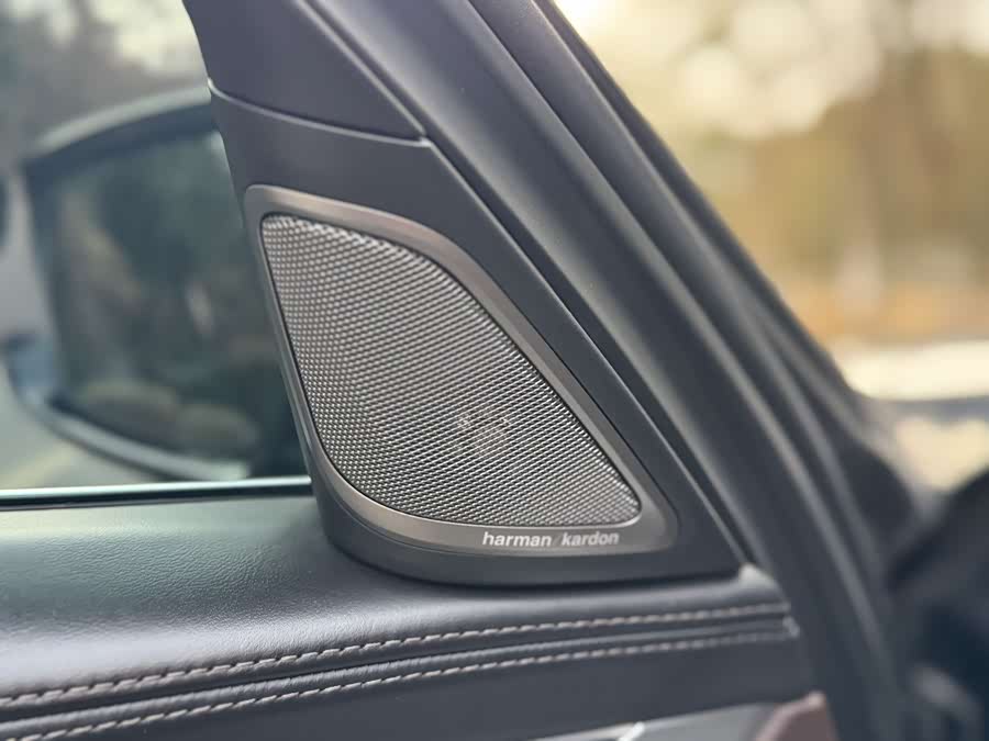 BMW 7 Series 2019 car image #19