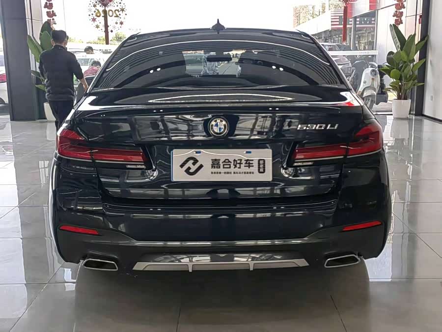 宝马 宝马5系 2023 汽车图片 #19