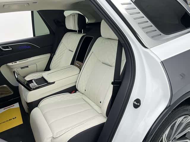 HongQi E-HS9 2023 car image #19