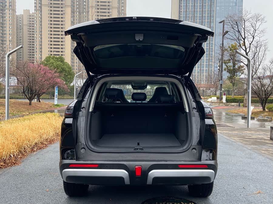 BYD Sea Lion 07 DM-i 2025 car image #19