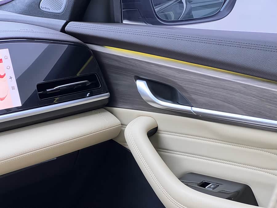 GEELY Monjaro 2024 immagine di auto #19