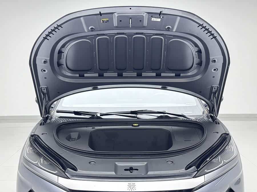 BYD Qin L 2025 car image #19