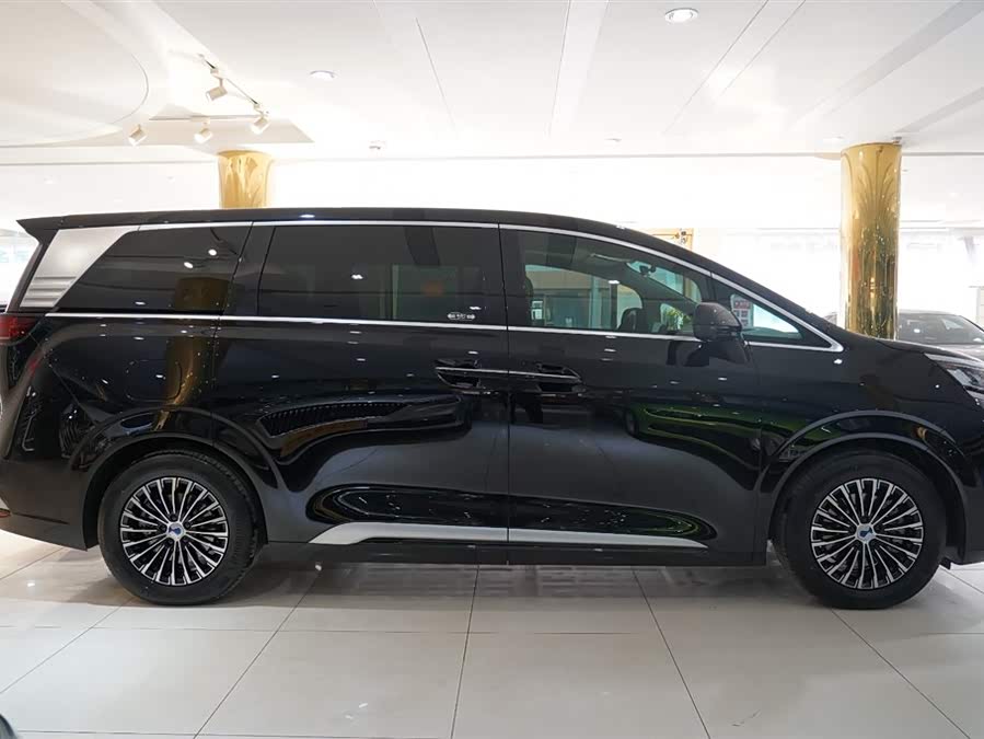 Denza D9 2025 imagen de coche #19