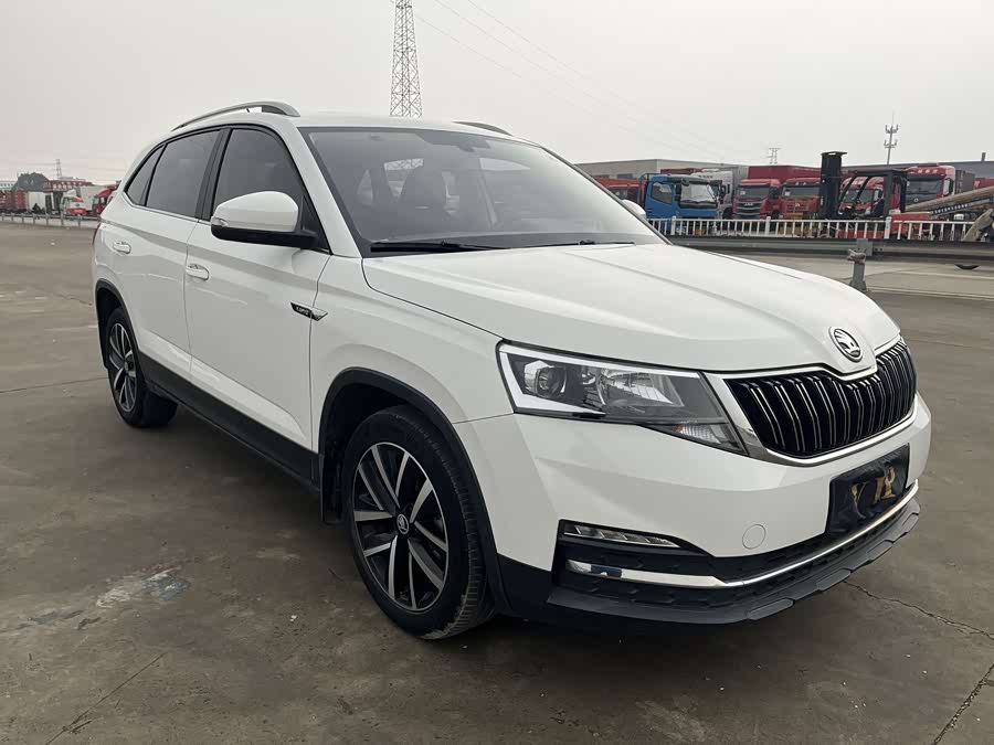 Skoda Kamiq 2020 car image #19