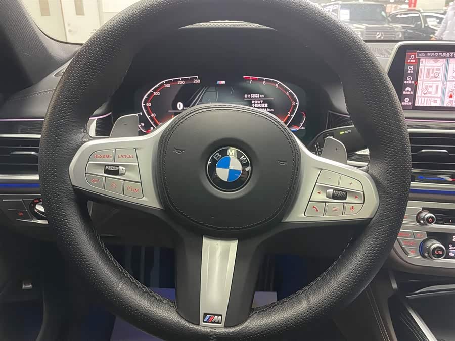 BMW 7 Series 2021 car image #19