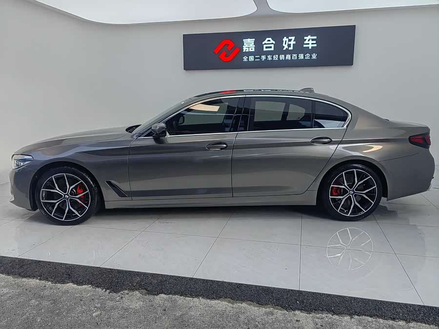 BMW 5 Series 2019 car image #19