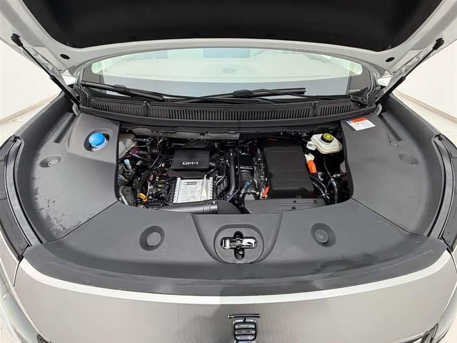 BYD Xia 2024 car image #19