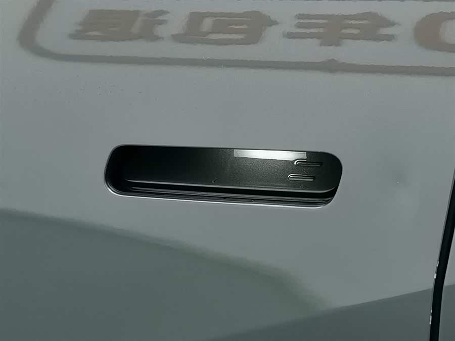 极氪 极氪X 2023 汽车图片 #19