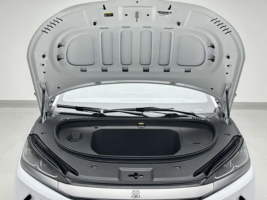 BYD Qin L 2025 car image #19