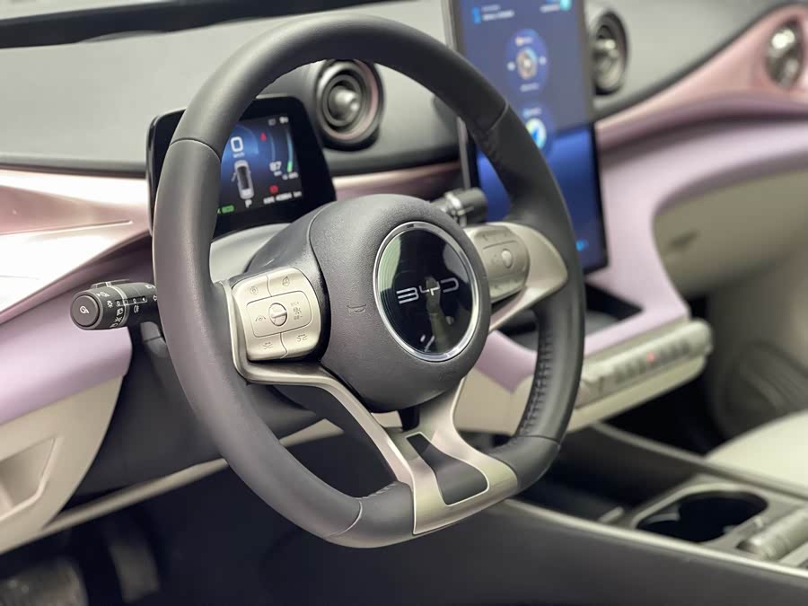 BYD Dolphin 2022 صورة سيارة #19