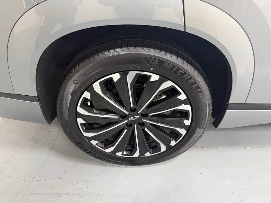 Chery Tiggo 9 2023 car image #19