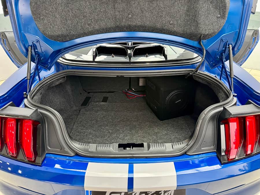 Ford Mustang 2019 car image #19