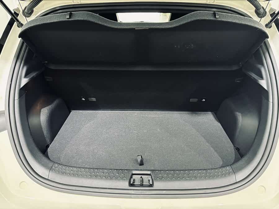 BYD Dolphin 2024 imagem de carro #19