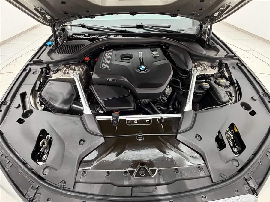 BMW 5 Series 2019 immagine di auto #19