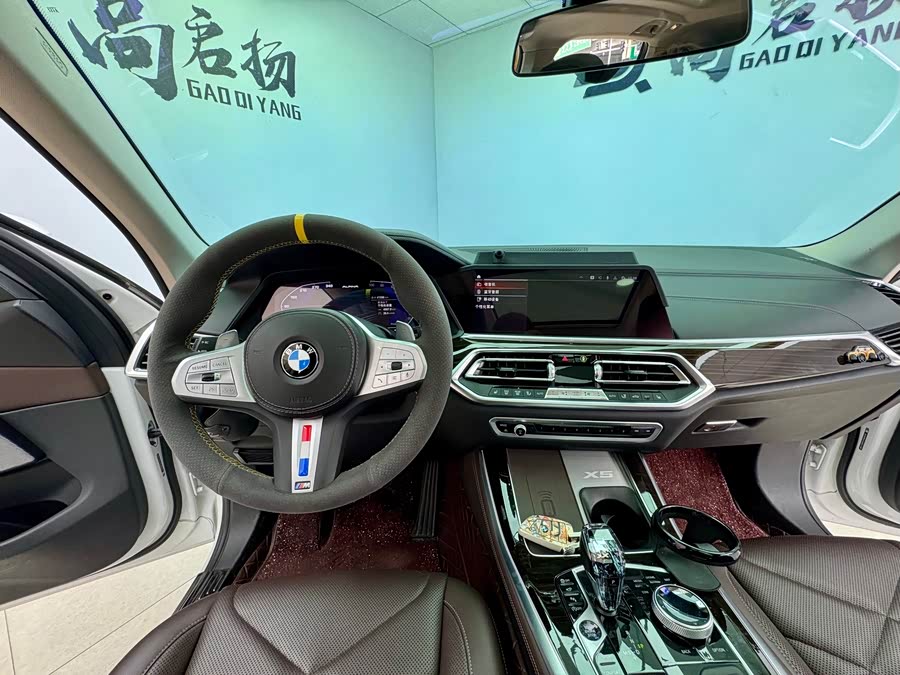 BMW X5 2022 imagen de coche #19