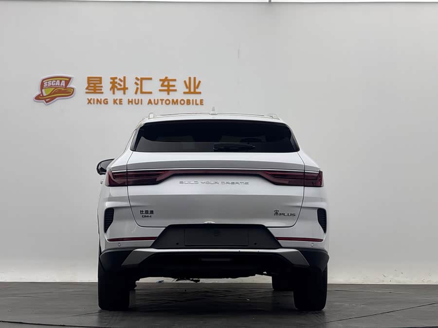 BYD Song Plus New Energy 2022 immagine di auto #19