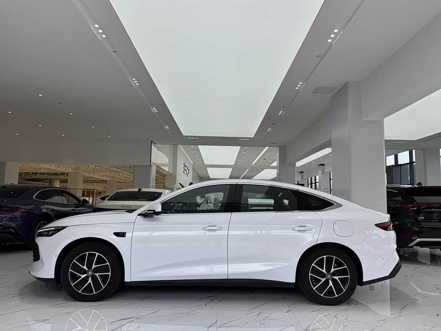 BYD Qin L 2025 car image #19