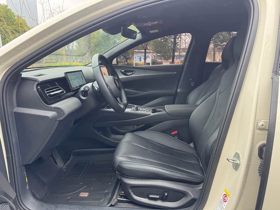 BYD Tang New Energy 2022 car image #19