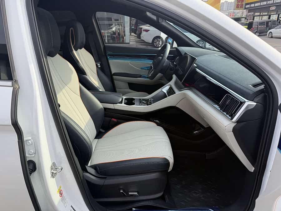 BYD Song Plus New Energy 2024 car image #19