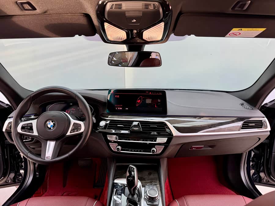 BMW 5 Series 2022 car image #19