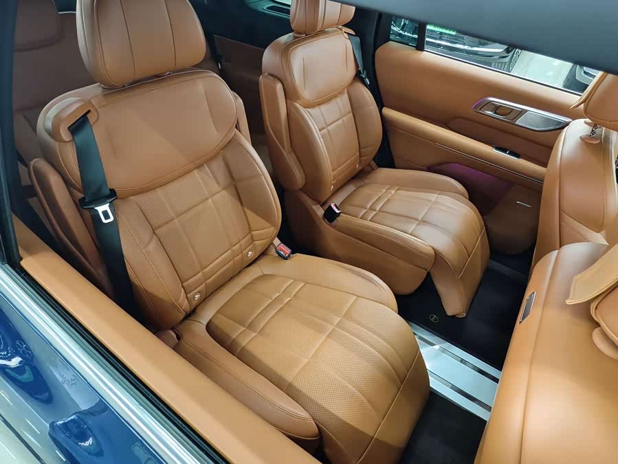 Deepal S09 2025 car image #19