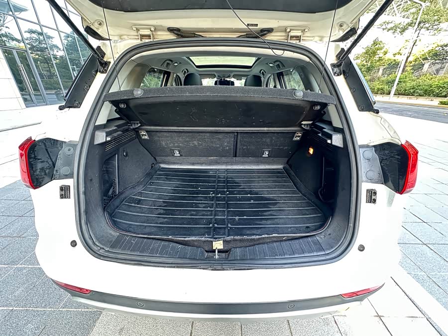 Haval H6 Coupe 2016 imagem de carro #19