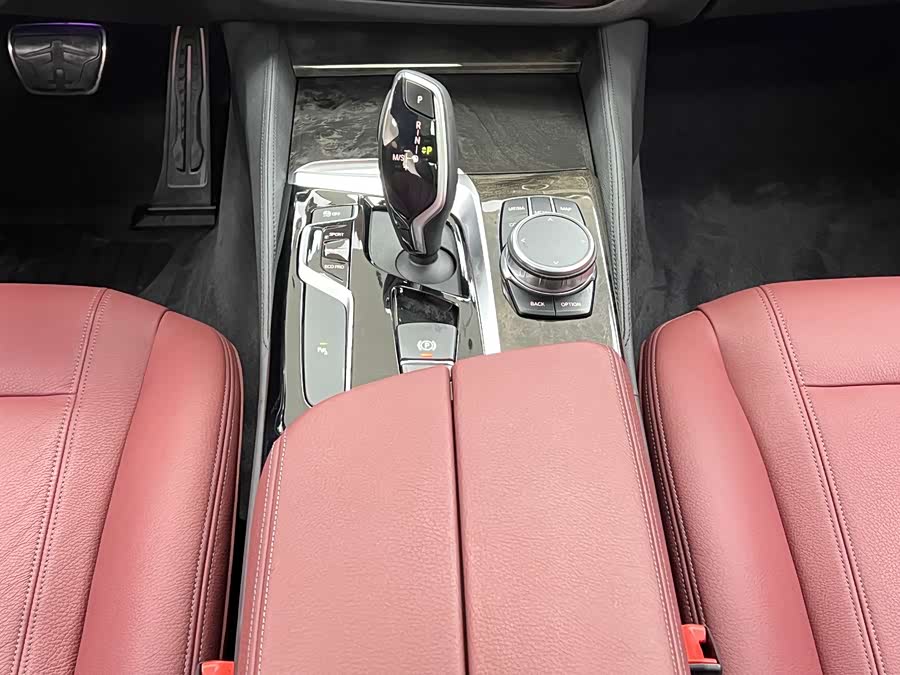 BMW 5 Series 2019 car image #19