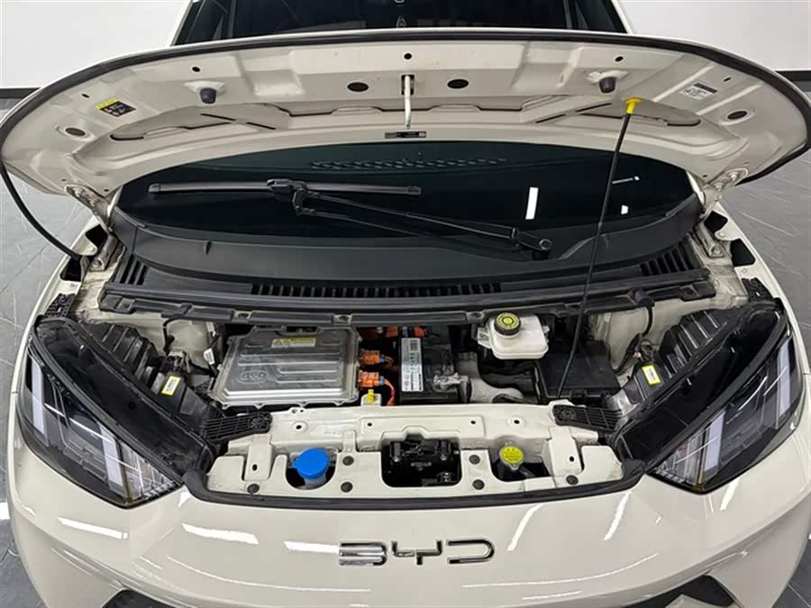 BYD Seagull 2023 imagen de coche #19