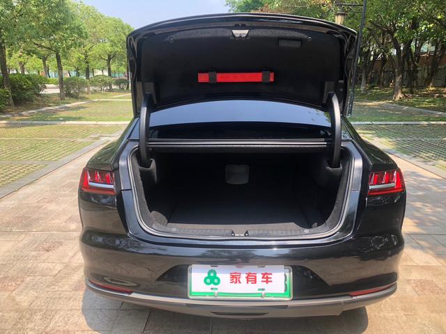 BYD e9 2021 car image #19