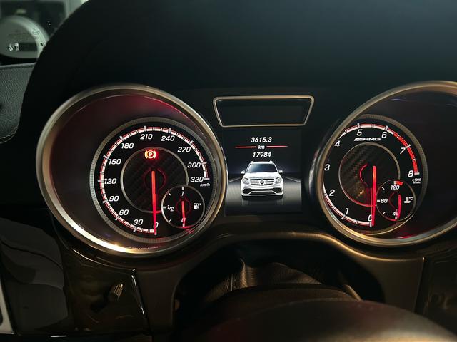 Mercedes-Benz GLS AMG 2016 car image #19