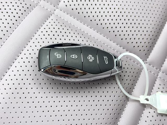 HongQi TianGong 08 2025 car image #19