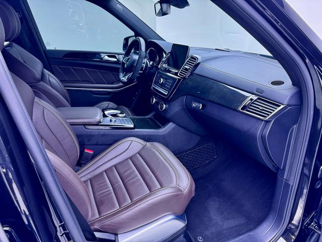 Mercedes-Benz GLS AMG 2019 car image #19