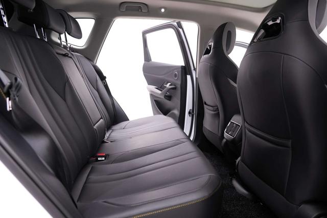 BYD Sea Lion 05 DM-i 2024 car image #19