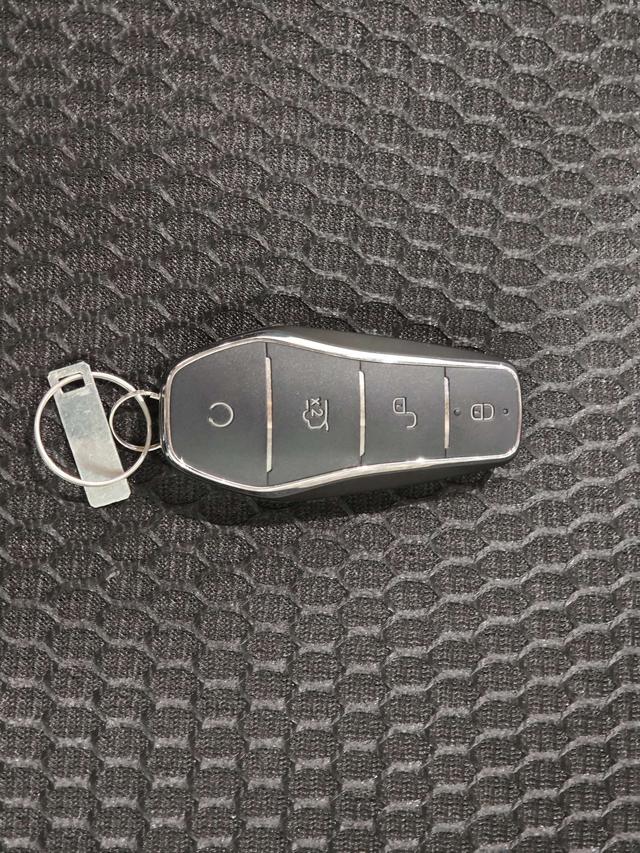 BYD Sea Lion 06 New Energy 2025 car image #19