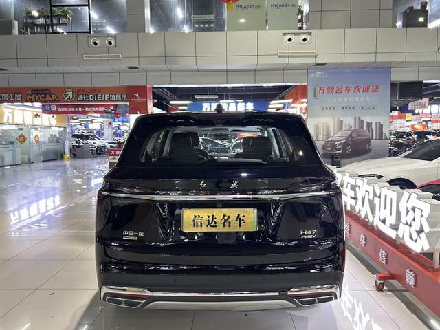 HongQi HS7 PHEV 2024 car image #19