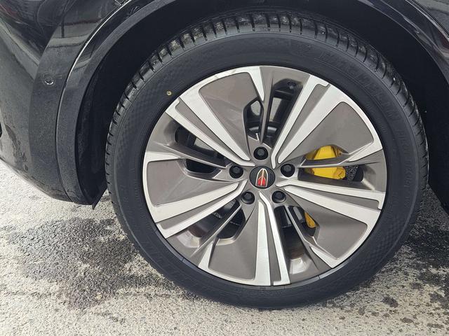 HongQi E-HS9 2022 car image #19