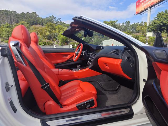 BMW 6 Series 2018 car image #19