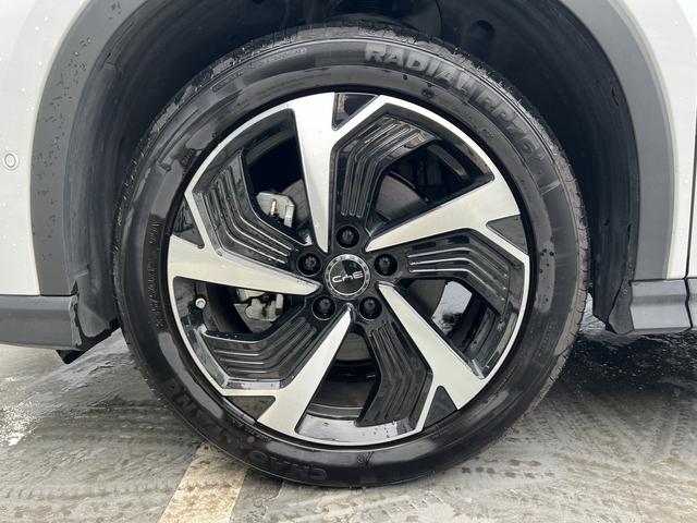 BYD Sea Lion 05 DM-i 2025 #19 BYD Sea Lion 05 DM-i 2025 car image #19