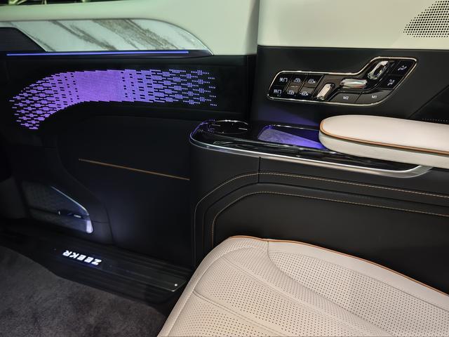 极氪 极氪009 2024 汽车图片 #19