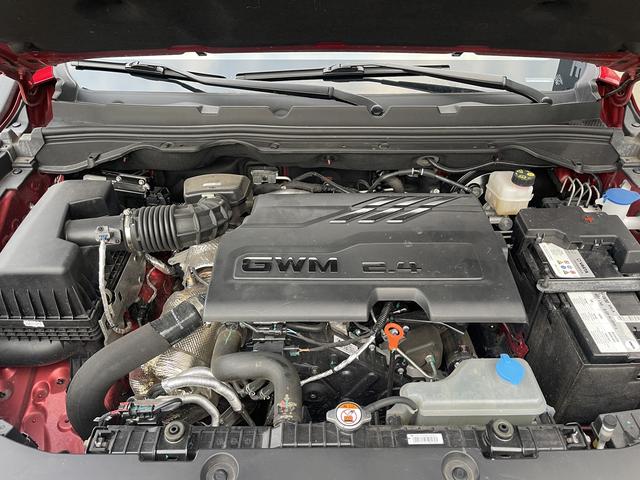 长城 炮 2025 汽车图片 #19