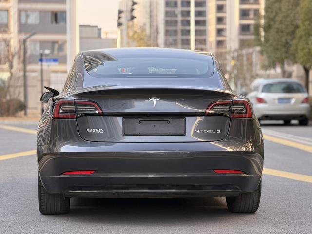 Tesla Model 3 2020 car image #19