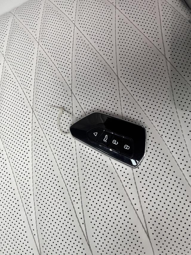 Neta L 2025 imagen de coche #19