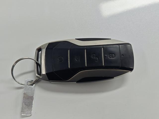 BYD Qin Pro New Energy 2019 car image #19