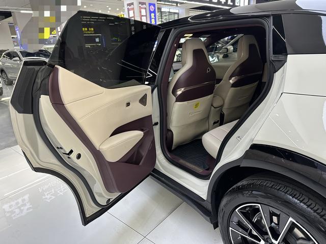 极氪 极氪X 2023 汽车图片 #19