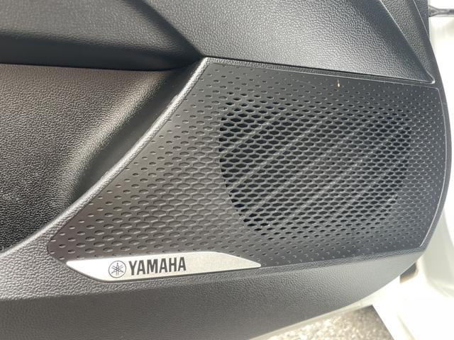 MG 5 Scorpio 2022 car image #19