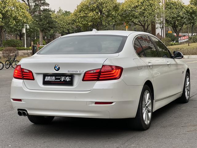 BMW 5 Series 2014 car image #19