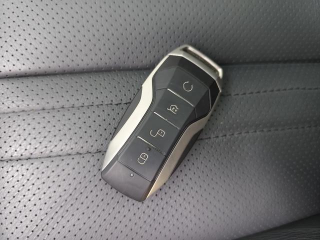 Denza 2021 imagem de carro #19