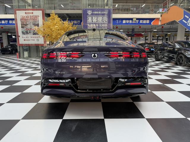 Denza 2024 imagem de carro #19