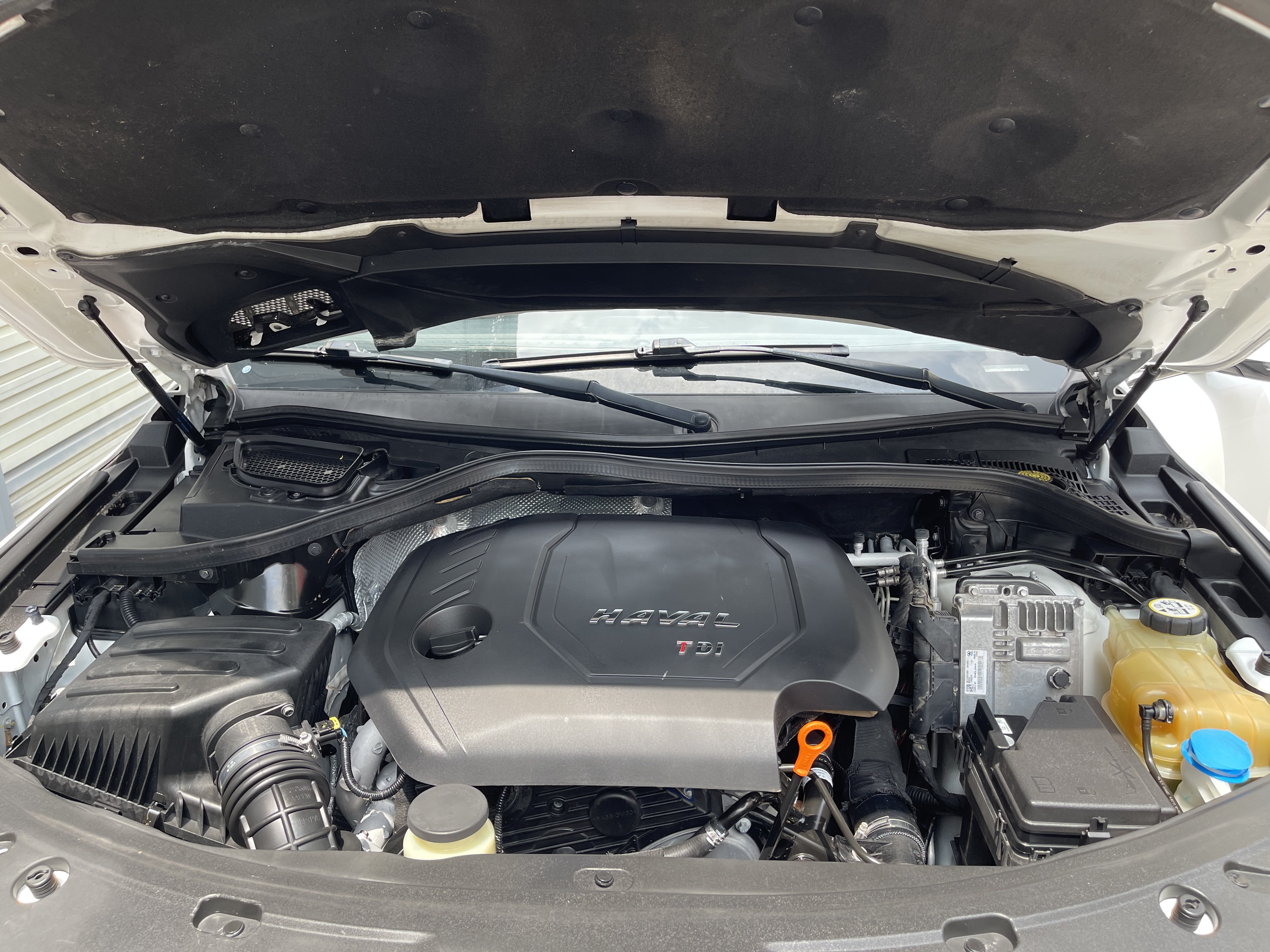 Haval H8 2017 #19 Haval H8 2017 изображение автомобиля #19