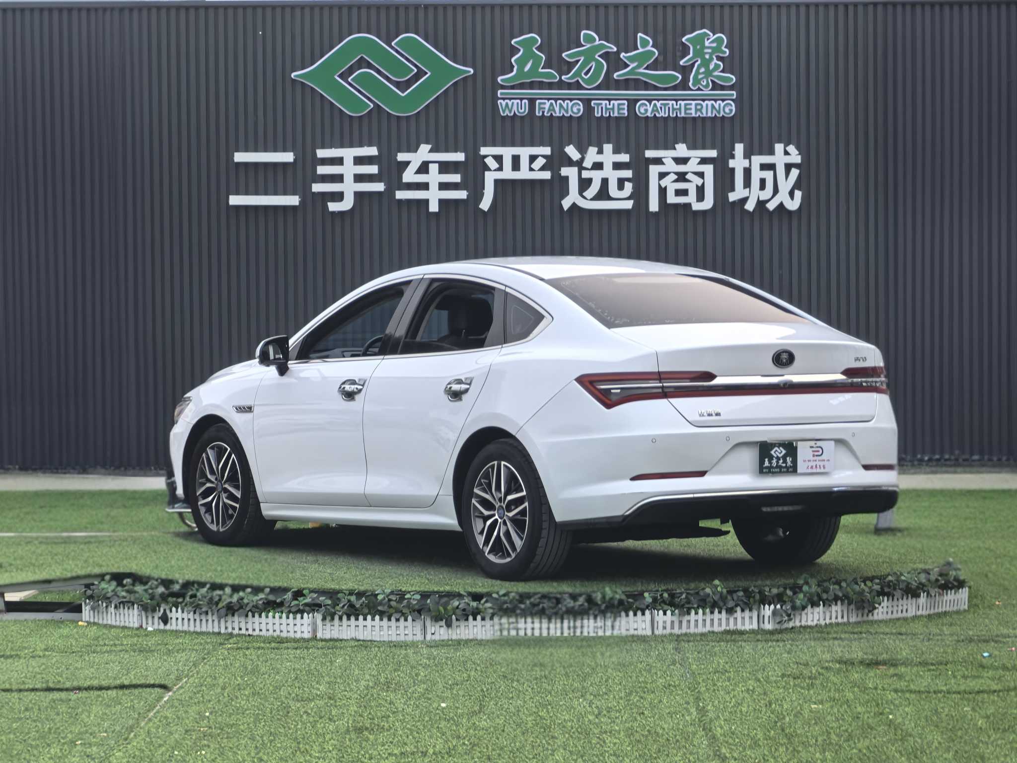 BYD Qin Pro New Energy 2019 car image #19